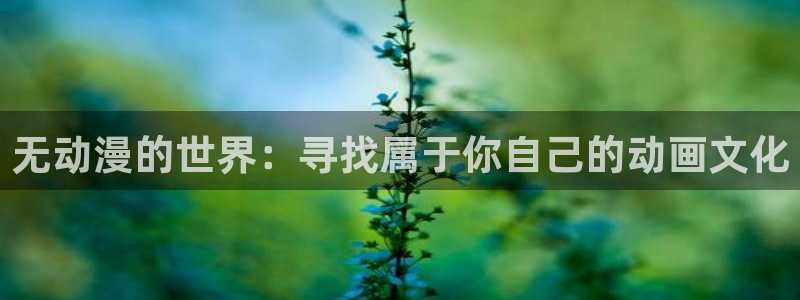动漫之家有