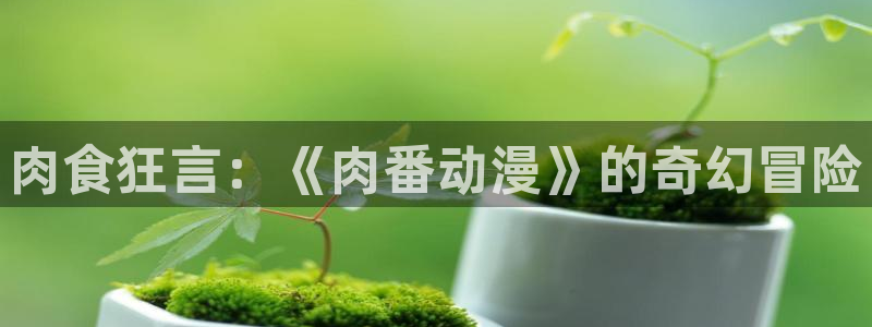 动漫之家在线
