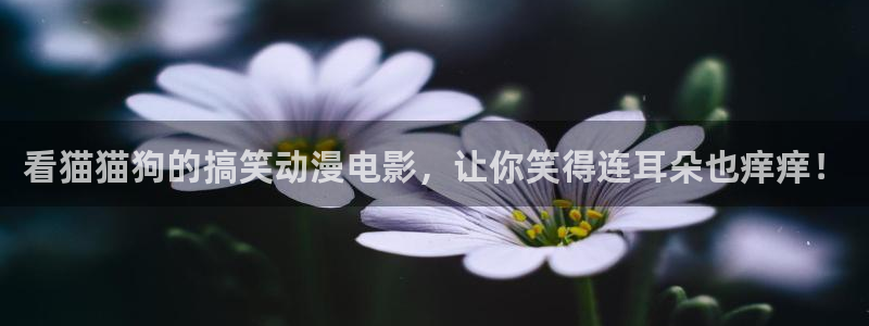 动漫之家网