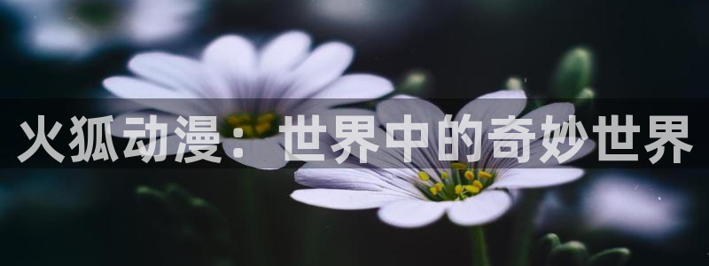 动漫之家网页版怎么下载