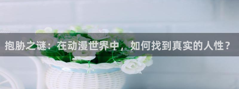 动漫之家轻小说网
