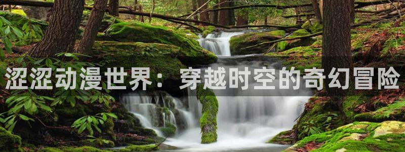 动漫之家看不了