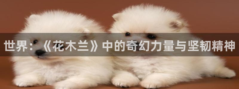 全职法师动漫之家
