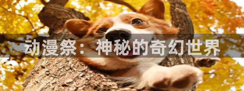 网站动漫之家