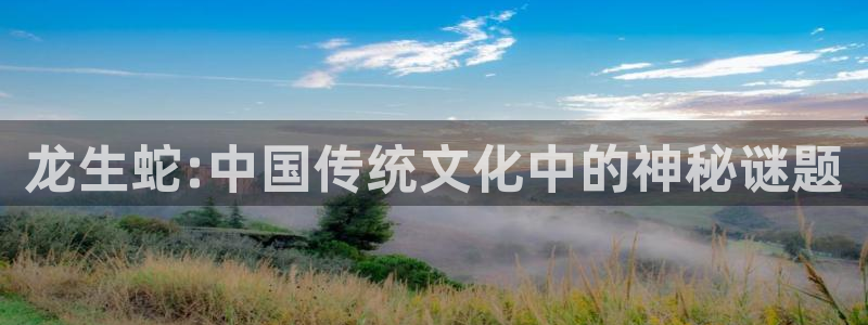 【我推的孩子】动漫之家
