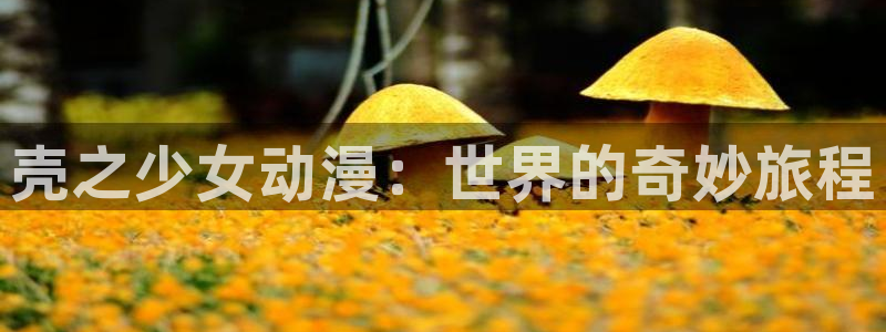 动漫之家+app下载：壳之少女动漫：世界的奇妙旅程