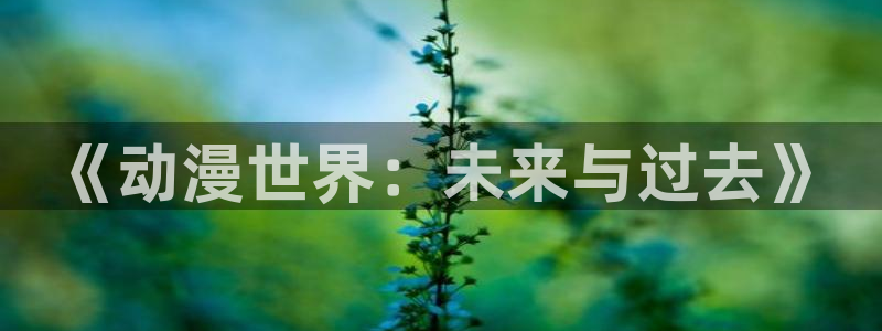 动漫之家有：《动漫世界：未来与过去》